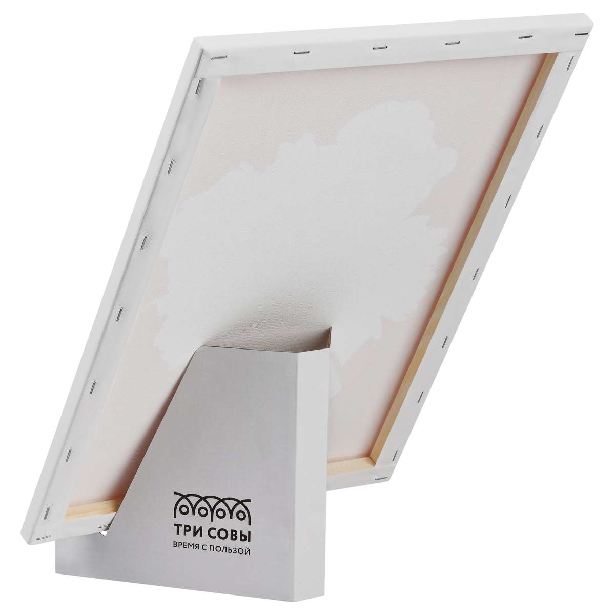 Картина по номерам на холсте с глиттером ТРИ СОВЫ "Тайна взгляда", 30*40, с акриловыми красками и ки