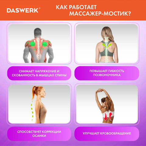 Массажер для спины/мостик для растяжки PREMIUM, 3 уровня нагрузки, фиолетовая вставка, DASWERK, 6800