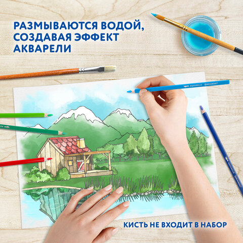 Карандаши цветные акварельные BRAUBERG PREMIUM AQUARELLE 36 цветов в тубе, трехгранные, утолщенный г