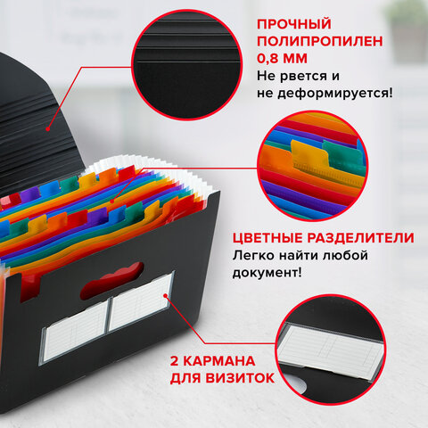 Папка-органайзер для бумаг и документов на резинке, 25 отделений, BRAUBERG DOCS, А4, черная, 271151
