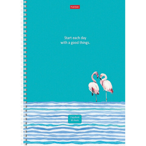 Тетрадь А4, 80 л., HATBER, гребень, линия, обложка картон, "Ассорти" (микс в спайке), 066144, 80Т4В2