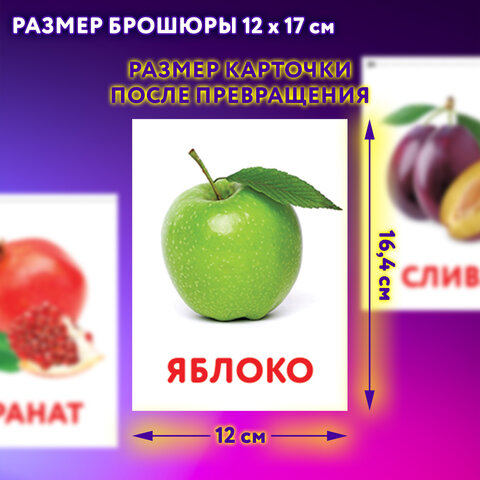 Карточки Домана, 8 развивающих брошюр по методике ГЛЕНА ДОМАНА, 145 изображений, ЮНЛАНДИЯ, 691022