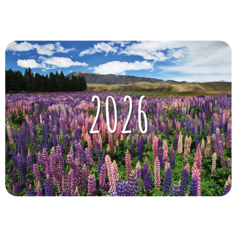 Календарь карманный на 2026 г, BRAUBERG, 64х93 мм, АССОРТИ №1, 20 видов, 117303