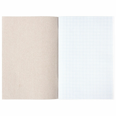 Книга учета 48 л., клетка, обложка из мелованного картона, блок офсет, А4 200х290 мм, STAFF, 130055