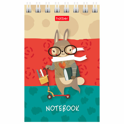 Блокнот МАЛЫЙ ФОРМАТ А7 65х100 мм, 40 л., гребень, картон, клетка, дисплей, HATBER, Ассорти, 031285,