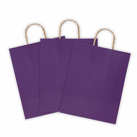 Крафт-пакет бумажный "Dark violet" 26х15х35 см, с кручеными ручками, 80 г/м2, моноцвет, 112405