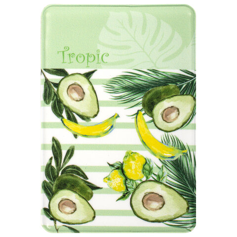 Обложка-карман для проездных документов, карт, пропусков "Tropic", 100х65 мм, ПВХ, фотопечать ассорт