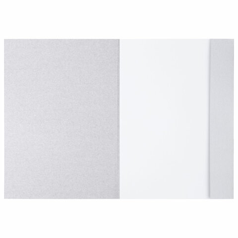 Папка для рисования А4, 20 л., 160 г/м2, BRAUBERG, 210х297 мм, "Орел", 125230