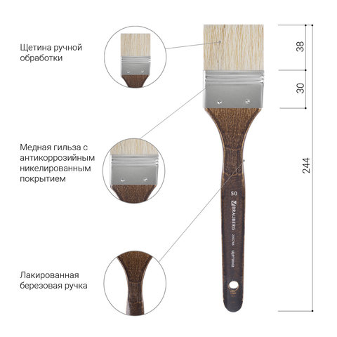 Кисть художественная профессиональная BRAUBERG ART CLASSIC, щетина, флейц, № 50, короткая ручка, 200