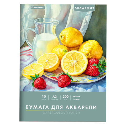 Папка для акварели БОЛЬШАЯ А3, 10л., 200 г/м2, 297х420мм, BRAUBERG АКАДЕМИЯ, "Летний натюрморт", 117