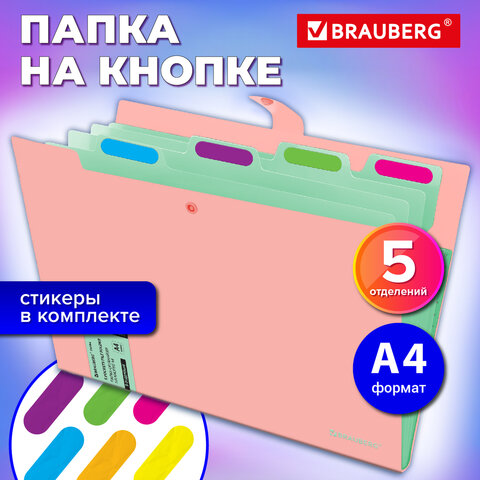 Папка-органайзер на кнопке 5 отделений, BRAUBERG "Extra", А4, персиковая с мятным, 274097