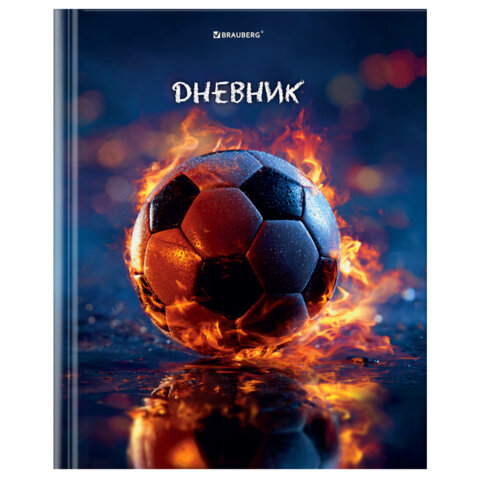 Дневник 1-4 класс 48л, твердый, BRAUBERG, глянцевая ламинация, с подсказом, МИКС УНИВЕРСАЛЬНЫЙ, 1075